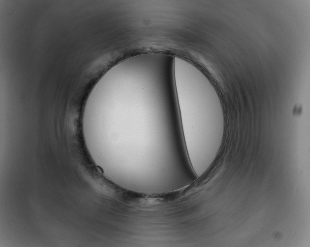 X0000101700451200807101349
