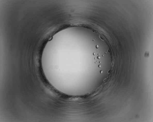 X0000101700452200807101349