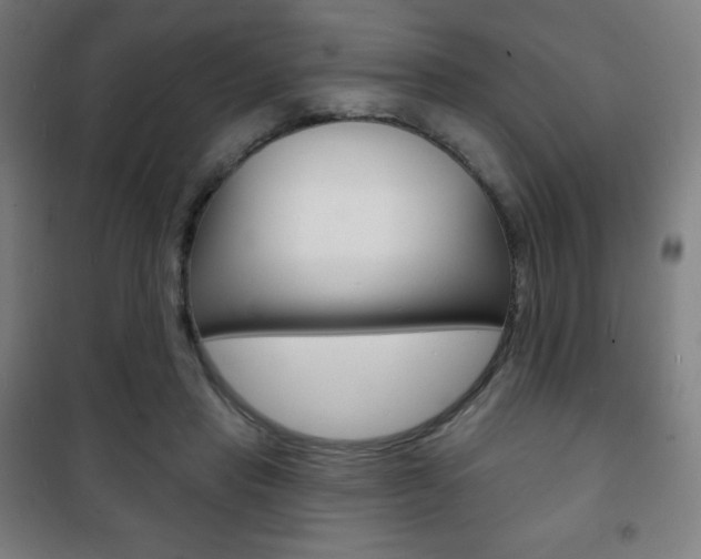 X0000101700453200807101349