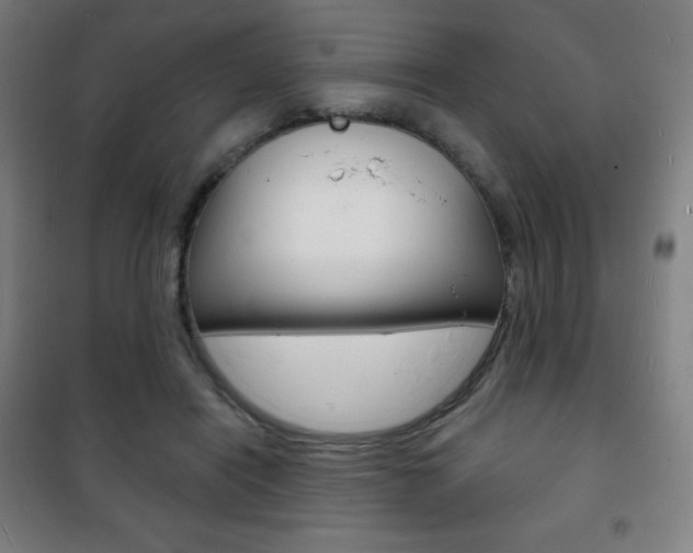 X0000101700454200807101349