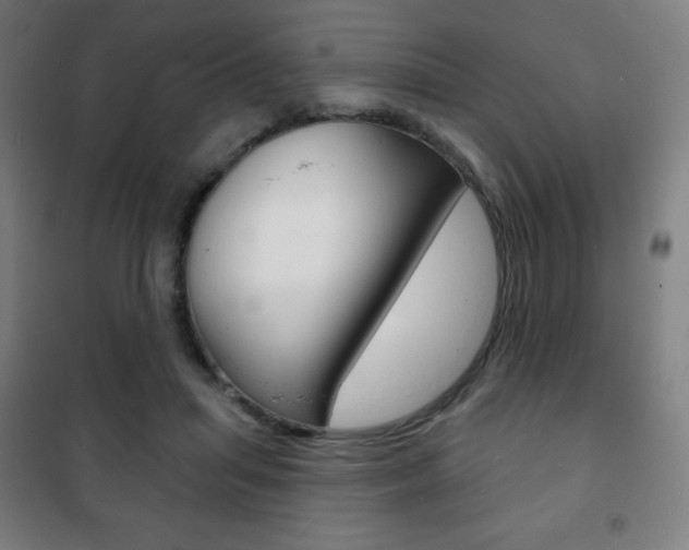 X0000101700455200807101349