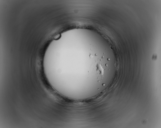 X0000101700456200807101350