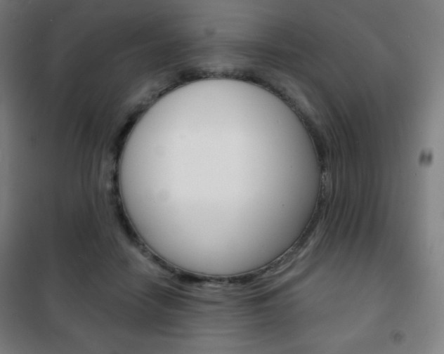 X0000101700458200807101350
