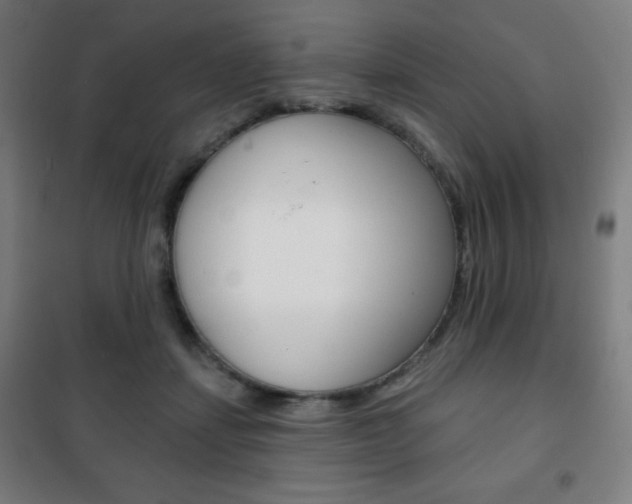 X0000101700459200807101350