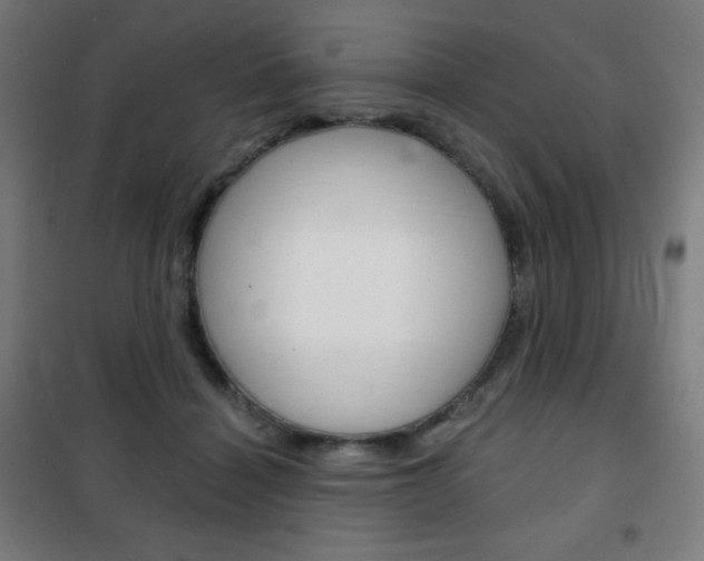 X0000101700460200807101350