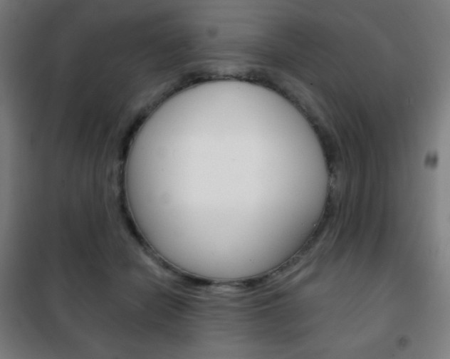 X0000101700462200807101350