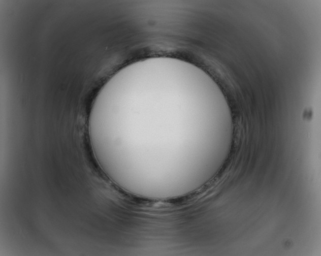 X0000101700463200807101350