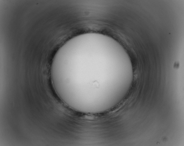 X0000101700464200807101350