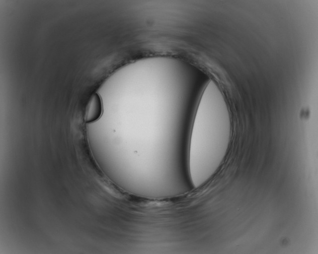 X0000101700465200807101350
