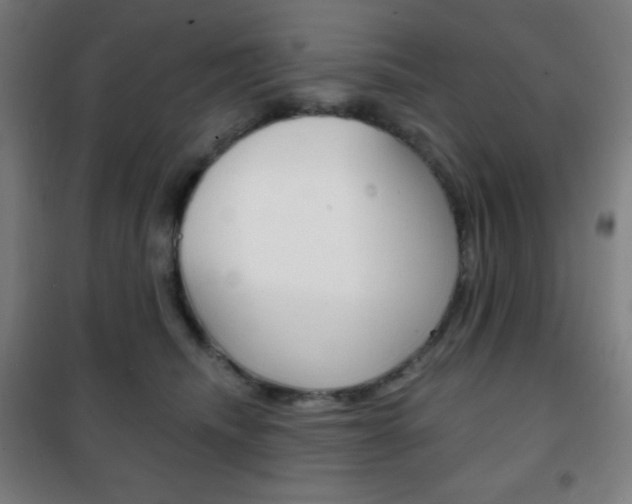 X0000101700468200807101350