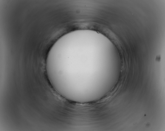 X0000101700469200807101350