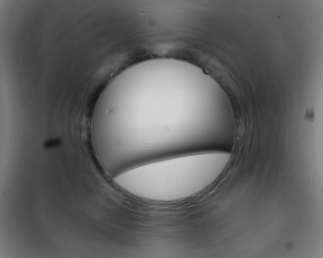 X0000101700470200807101350