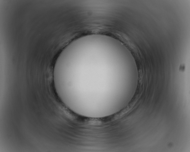 X0000101700471200807101350