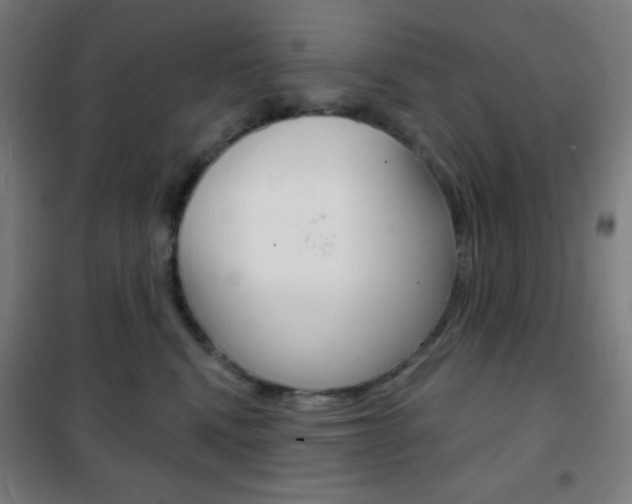 X0000101700472200807101350