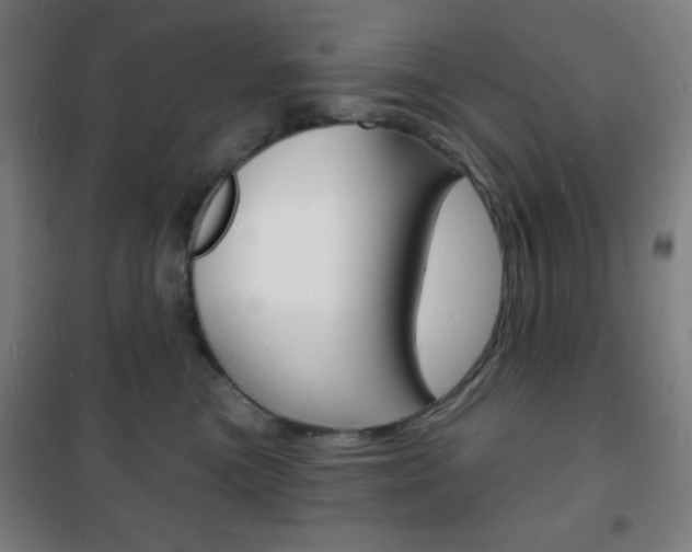 X0000101700473200807101350