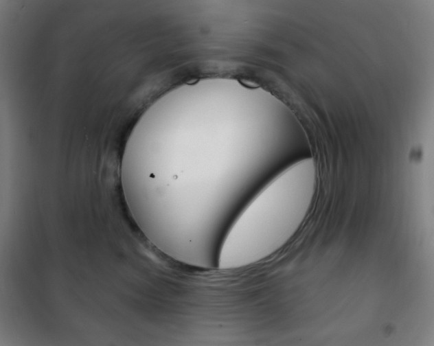 X0000101700474200807101350