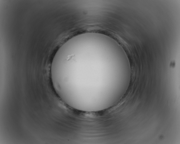 X0000101700475200807101350