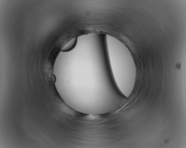 X0000101700477200807101350
