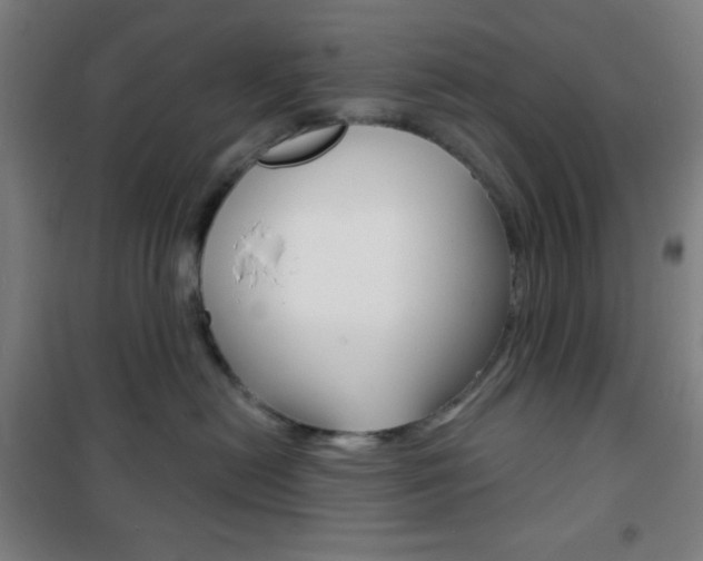 X0000101700478200807101350