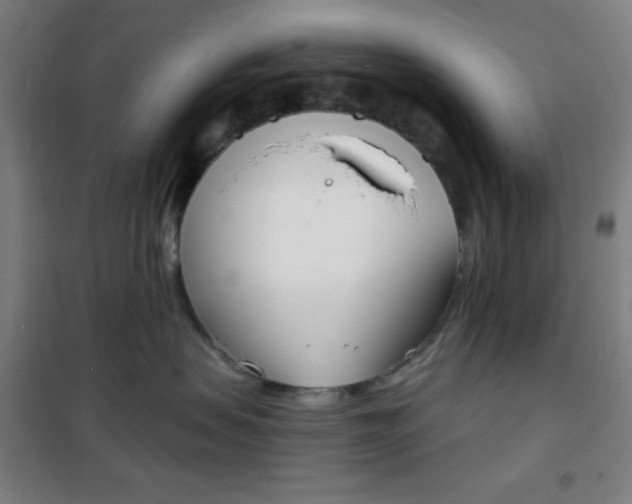 X0000101700479200807101350