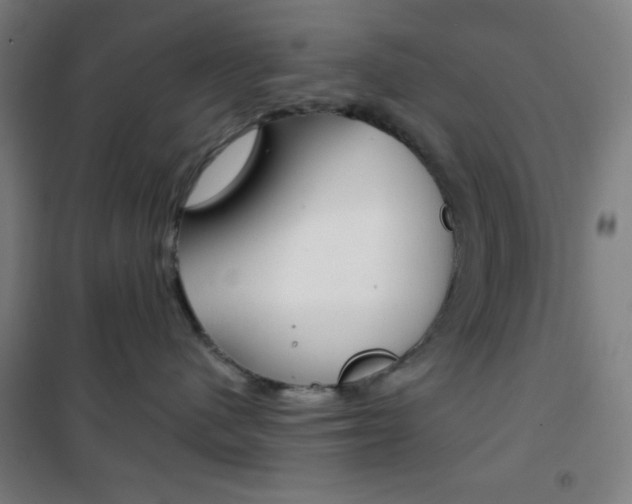 X0000101700480200807101350