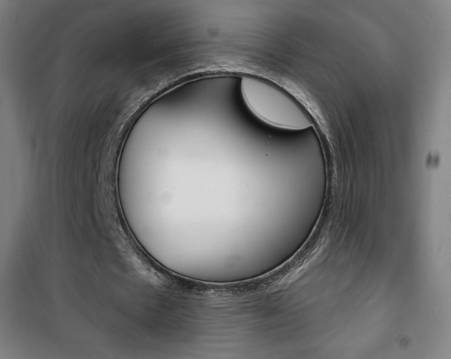 X0000101700481200807101349