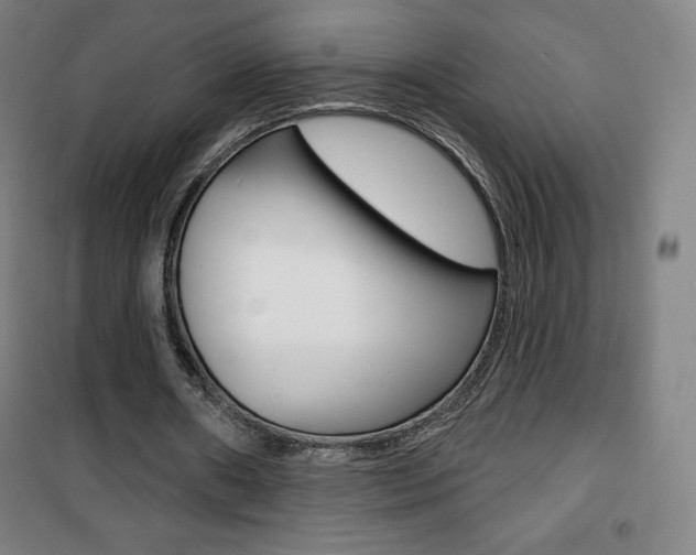 X0000101700482200807101349