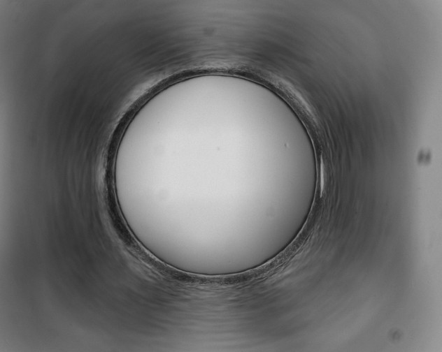 X0000101700483200807101349
