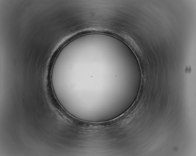 X0000101700484200807101349