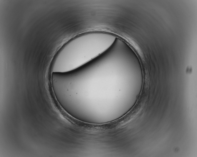 X0000101700485200807101349