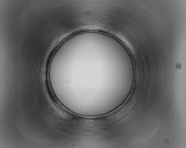 X0000101700486200807101349
