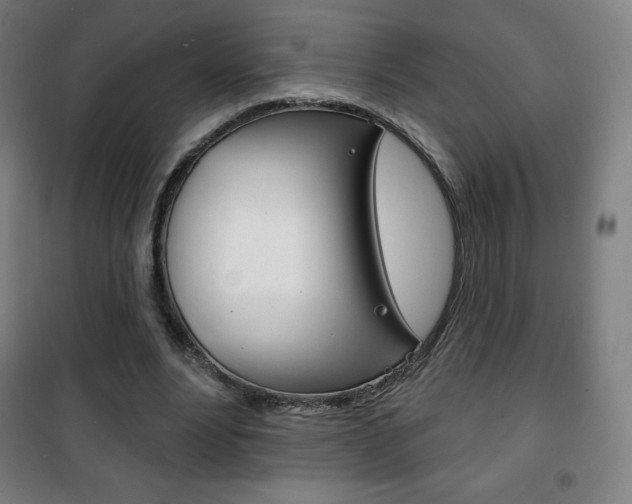 X0000101700488200807101349