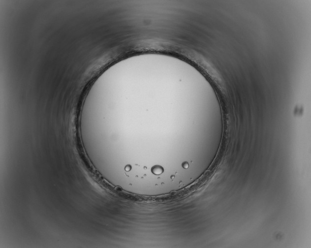 X0000101700489200807101349
