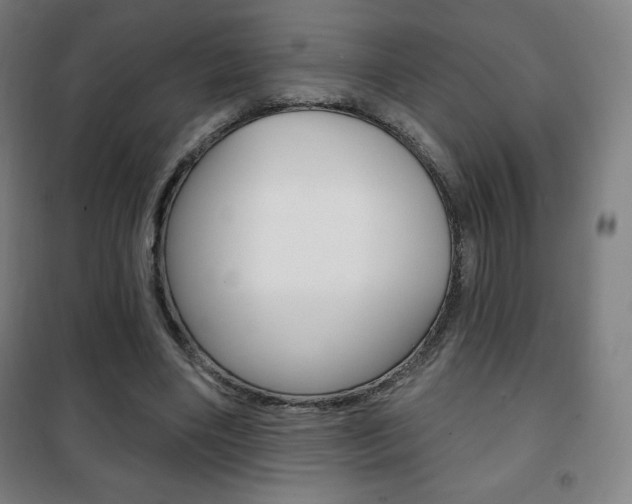 X0000101700490200807101349