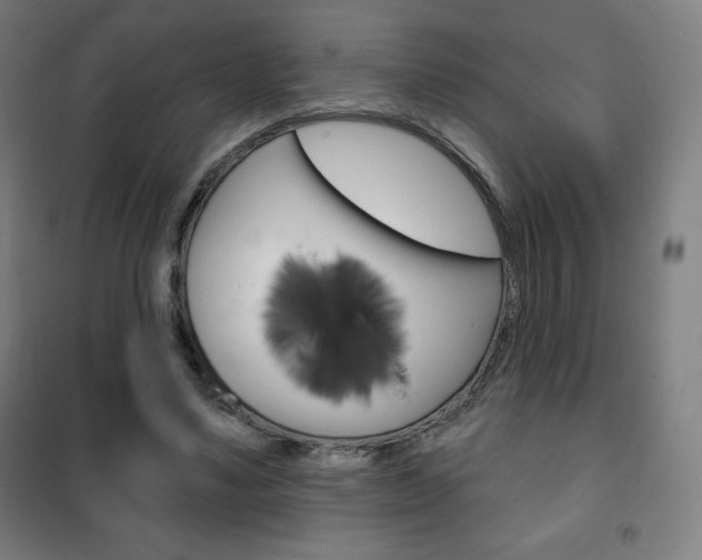 X0000101700491200807101349