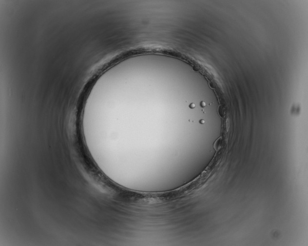 X0000101700492200807101349
