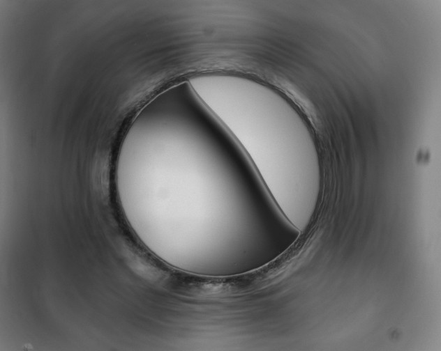 X0000101700493200807101349