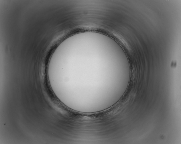 X0000101700494200807101349