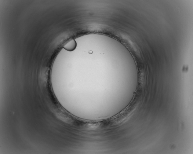 X0000101700495200807101349
