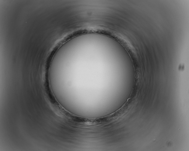 X0000101700496200807101349
