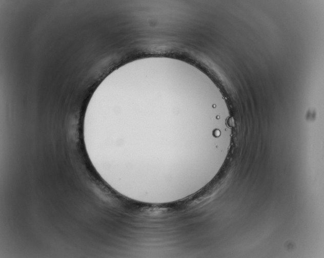 X0000101700497200807101349