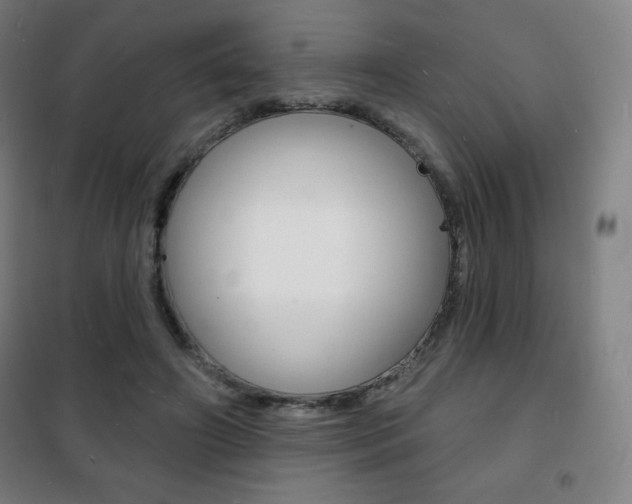 X0000101700498200807101349