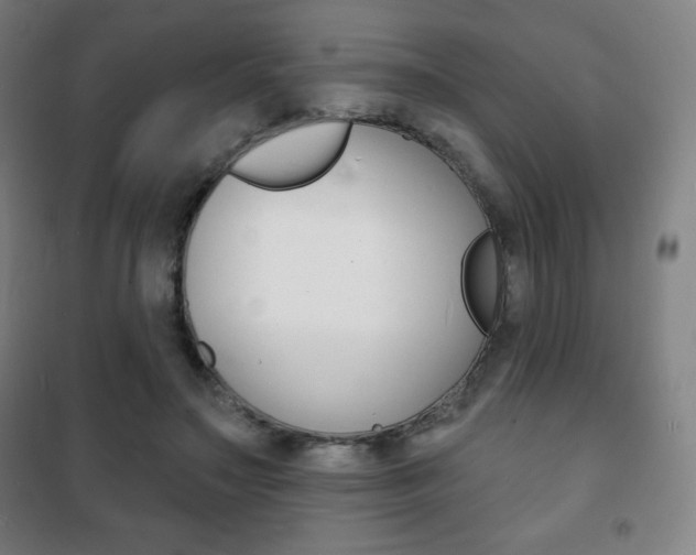 X0000101700499200807101349