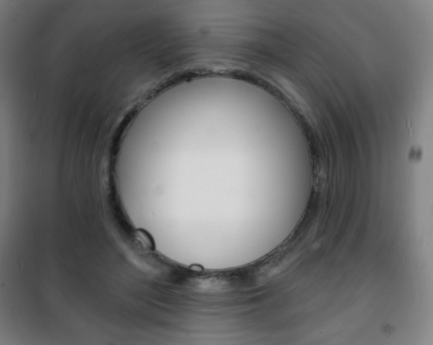 X0000101700500200807101349