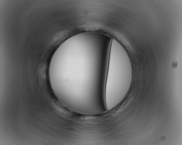 X0000101700501200807101349