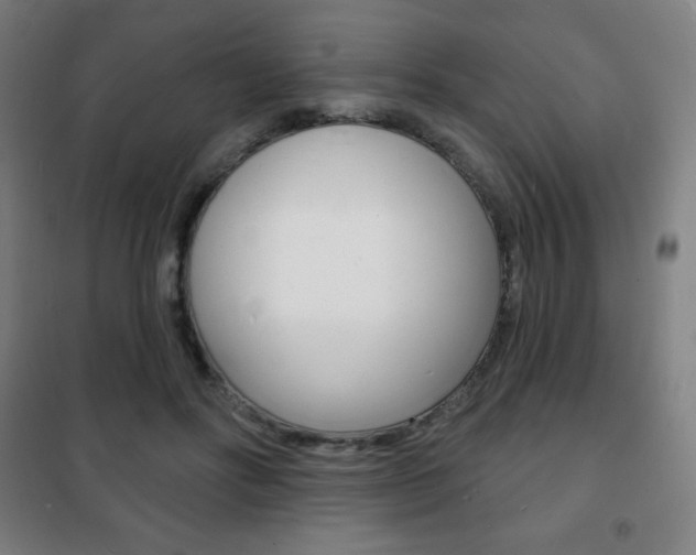 X0000101700502200807101349
