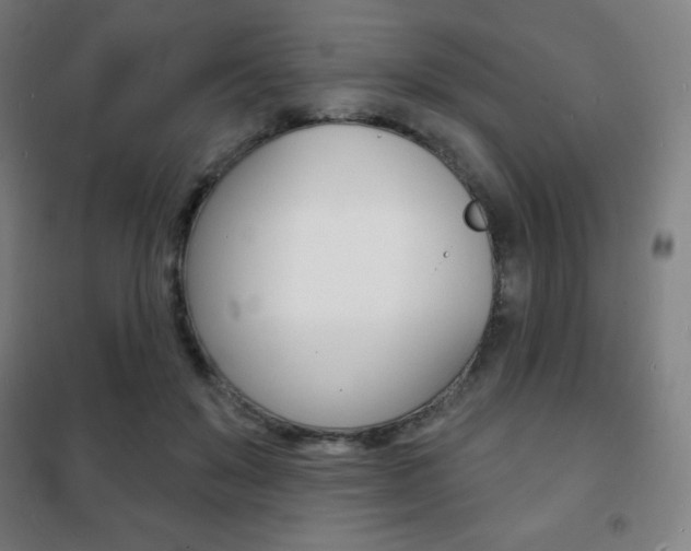 X0000101700503200807101349