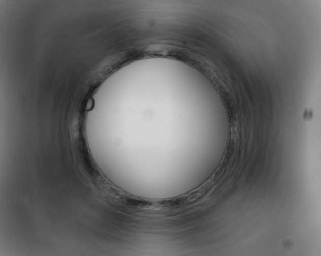 X0000101700504200807101349