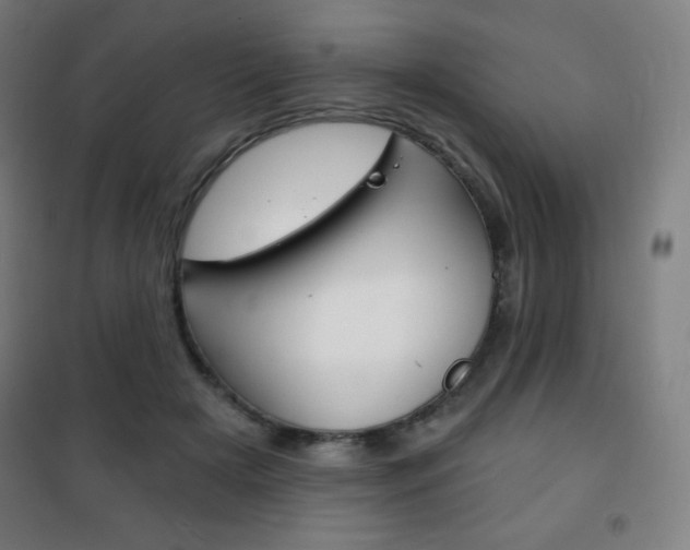 X0000101700505200807101349