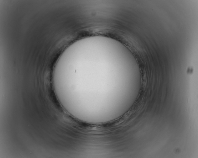 X0000101700506200807101349